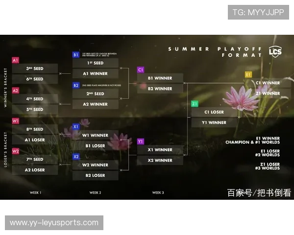 北美赛区如何提升国际表现？，北美赛区队伍