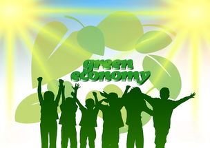 青年选手成长路径日益明确，青年成长成才计划