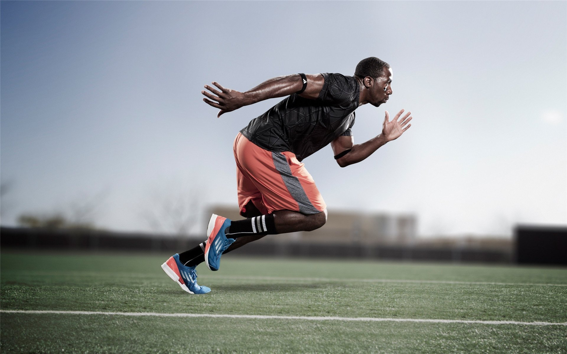 青年运动员职业规划咨询机制成型，运动员未来规划