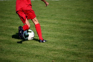 青训球员选拔机制存在结构性偏见，青训选拔喜欢那种球员