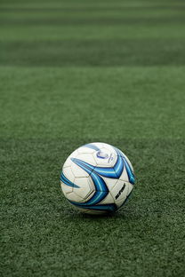 高校体育赛事应急管理体系构建，体育赛事应急预案细则